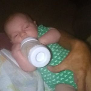 Meet your Posher, Travis